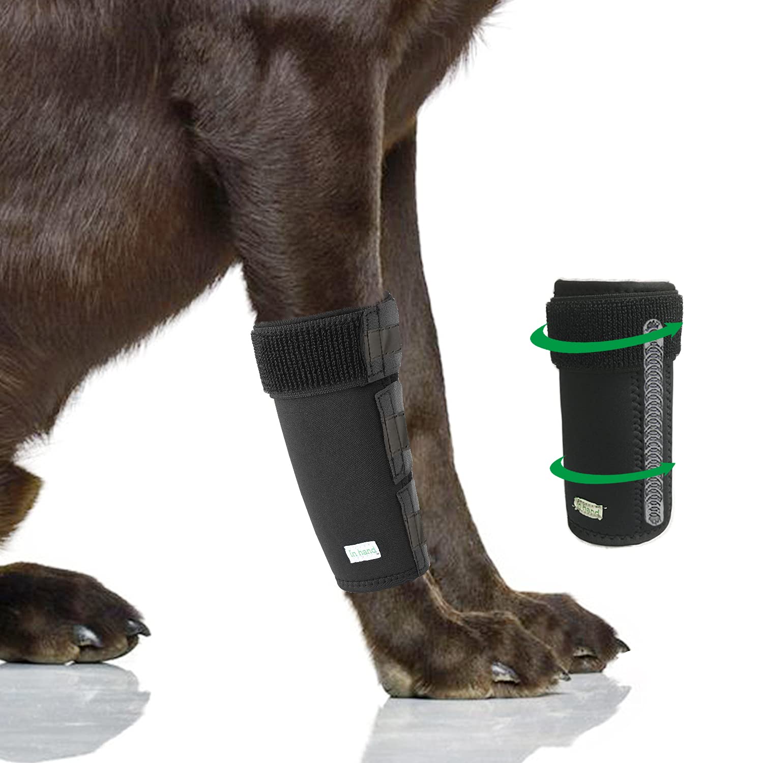 canine front leg brace