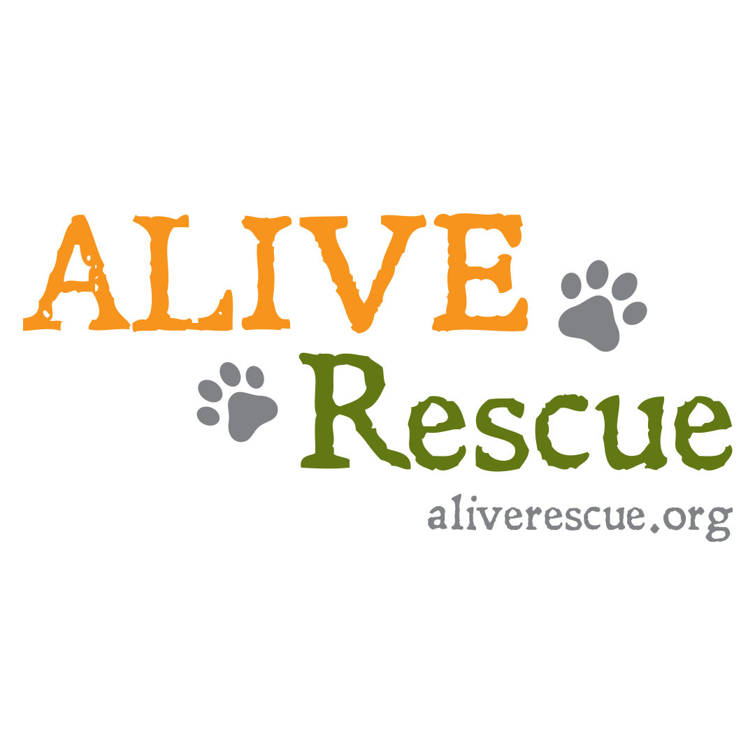 alive rescue salem wi