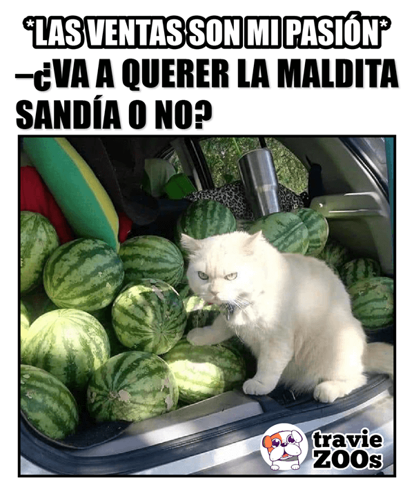 memes de ventas graciosas