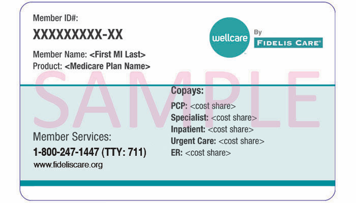 wellcare otc food card