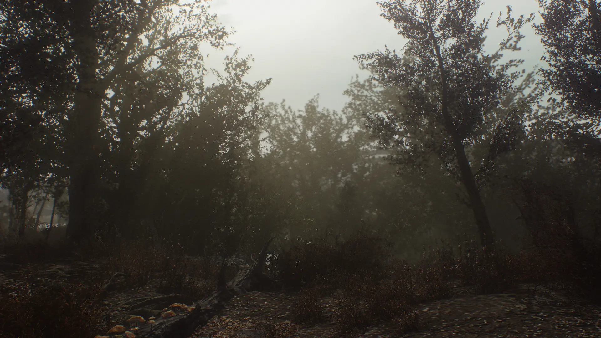 fallout 4 bleak mod