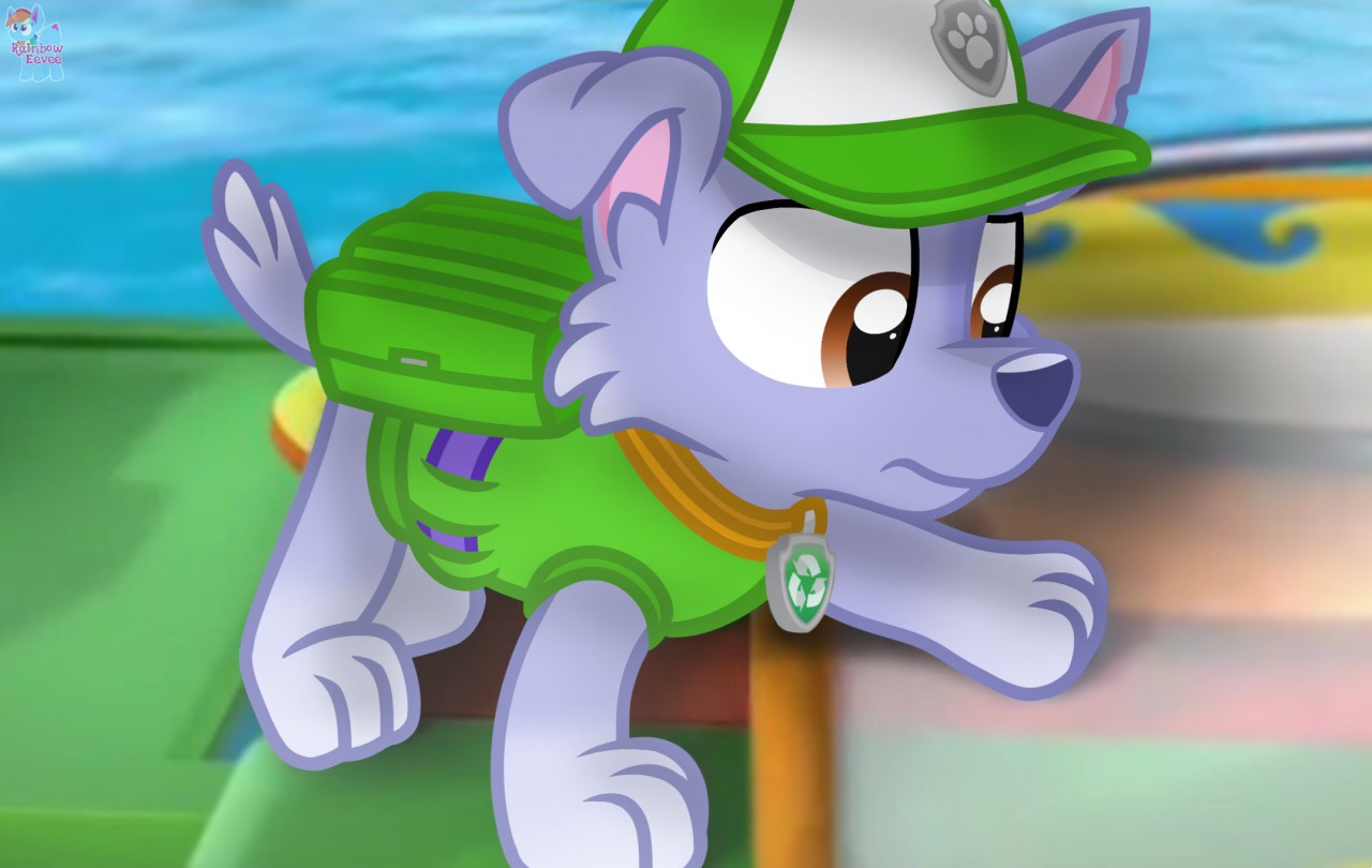 paw patrol rocky water