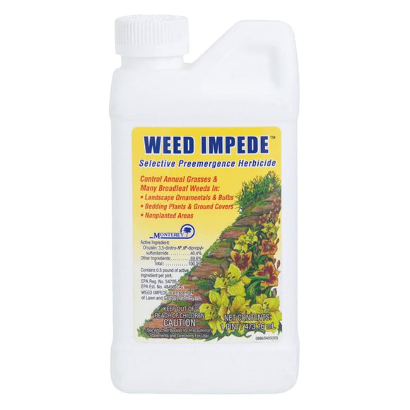 monterey weed impede