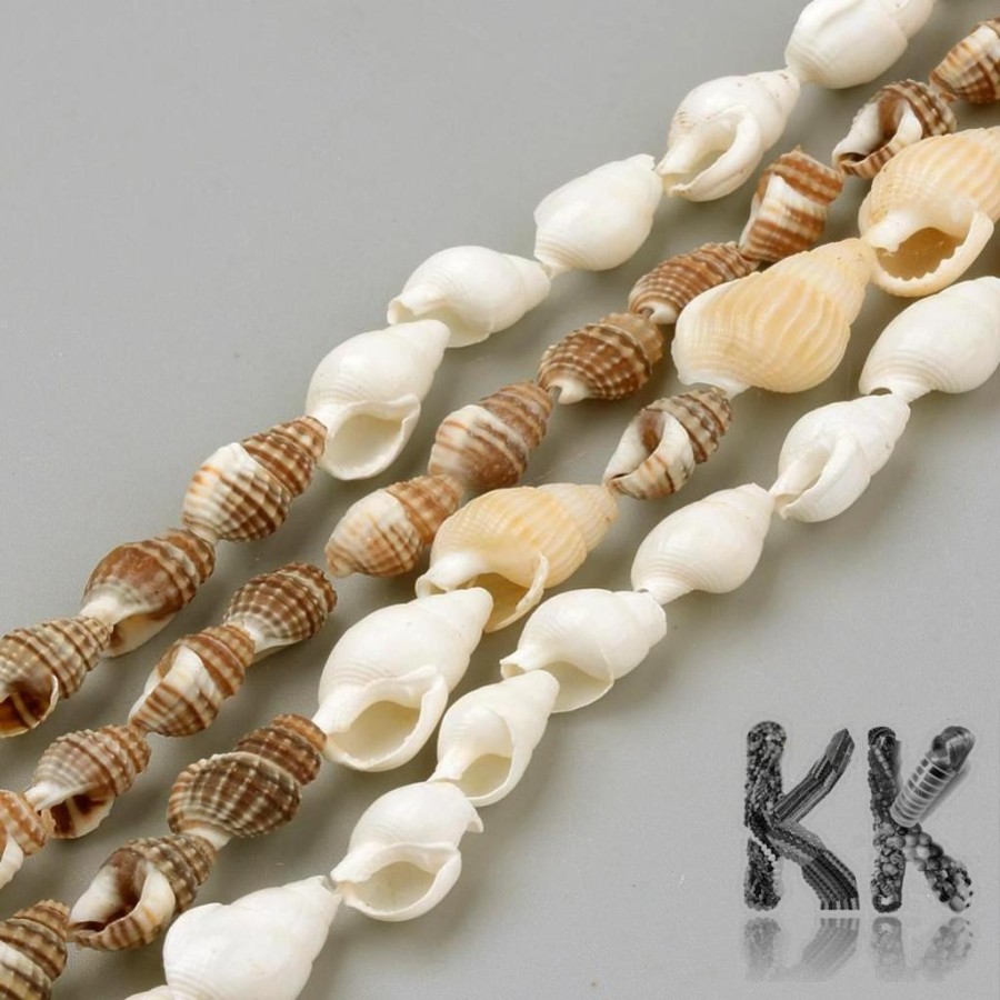 seashell beads