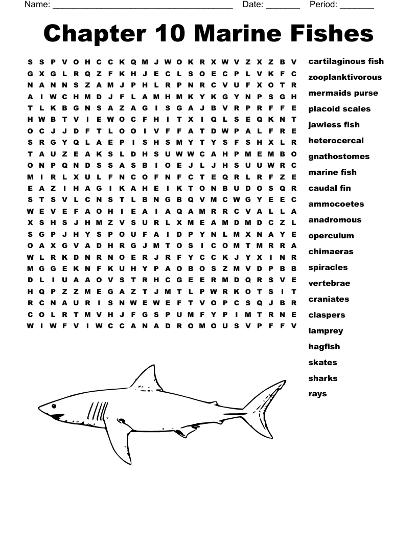 marine fish crossword clue