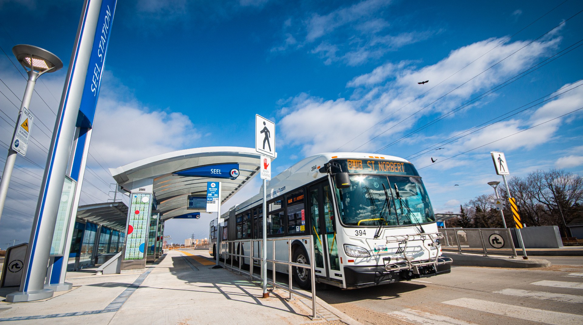 winnipeg transit navigo