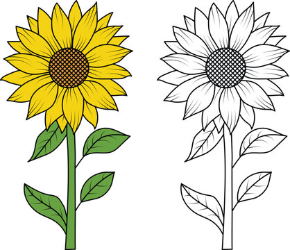 clipart sunflowers