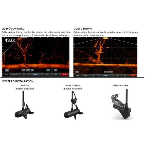 livescope down vs forward