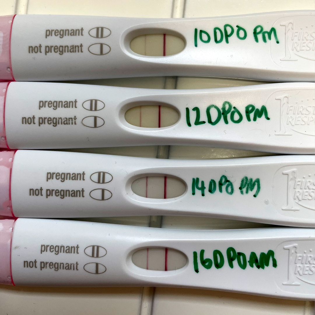 16dpo pregnancy test