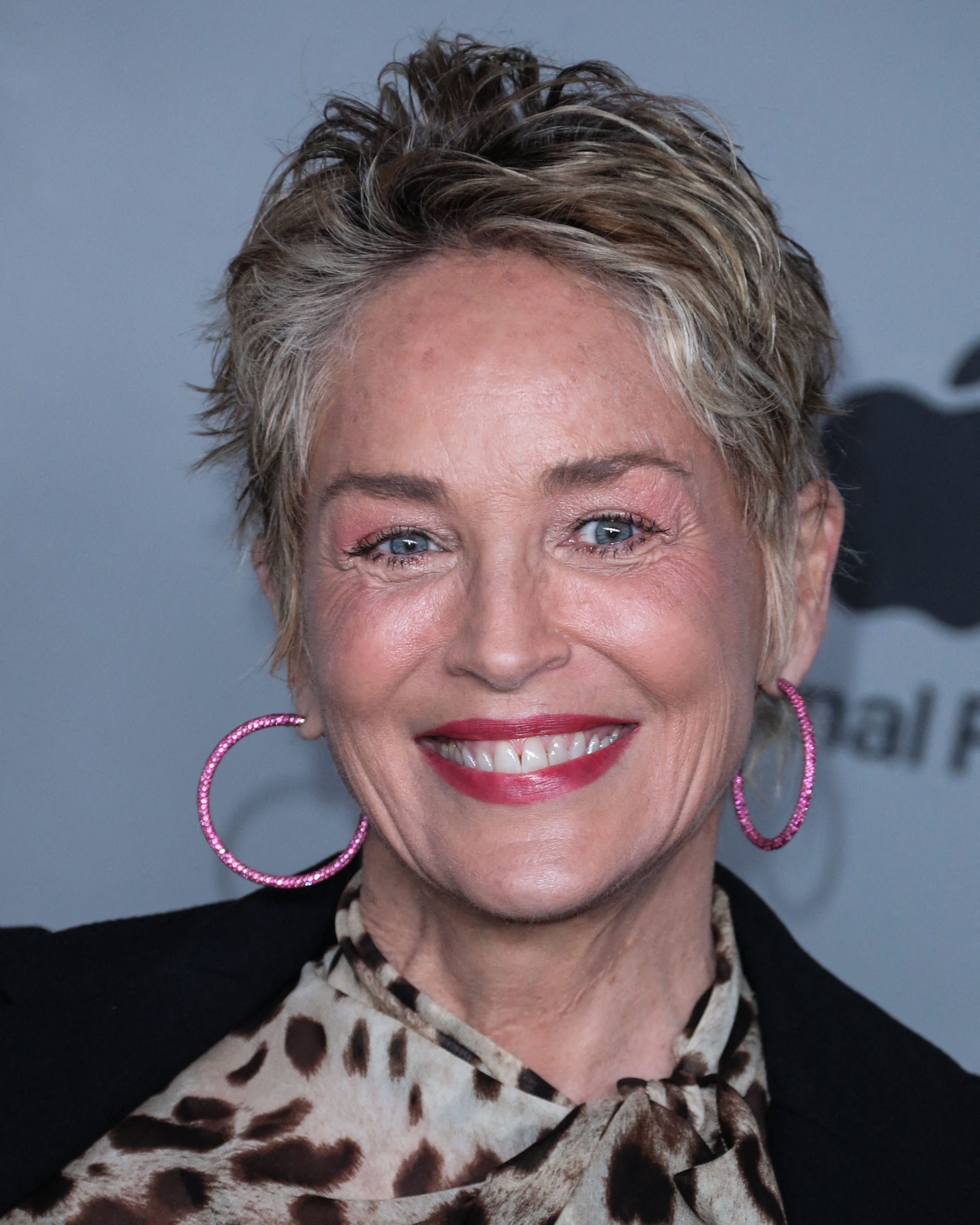 coiffure sharon stone 2022