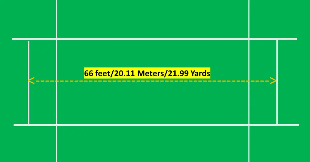 size of cricket pitch in feet