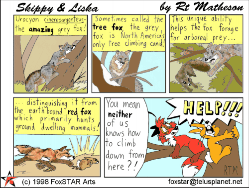 make a comic strip of the story the sly fox