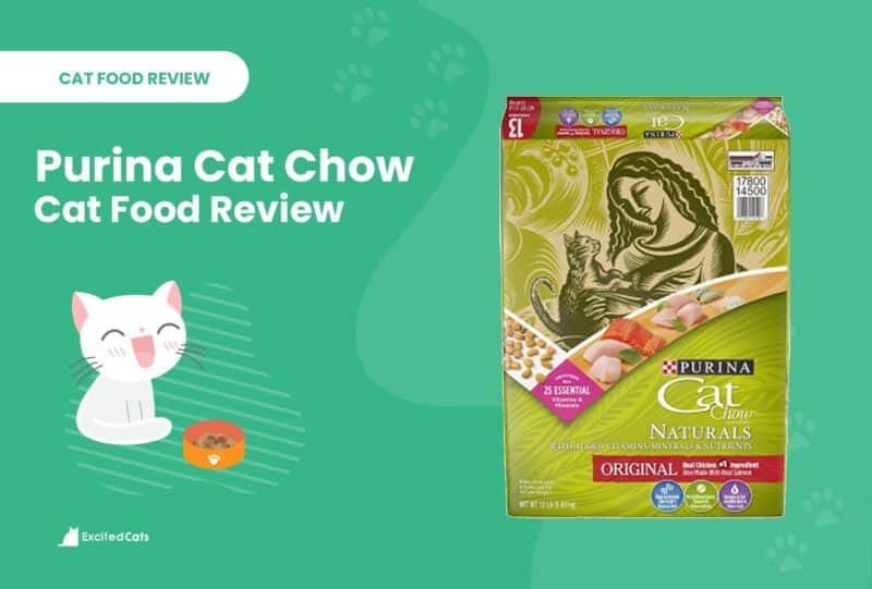 purina cat chow indoor recall