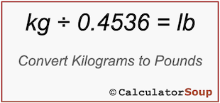 kilograms to lbs conversion calculator