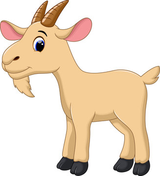 goat clipart