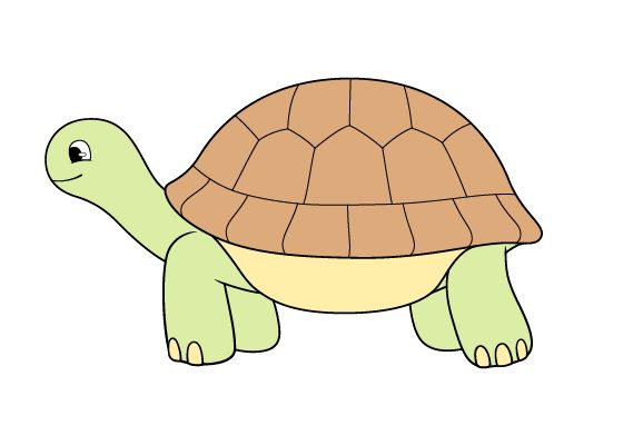 tortoise drawing easy