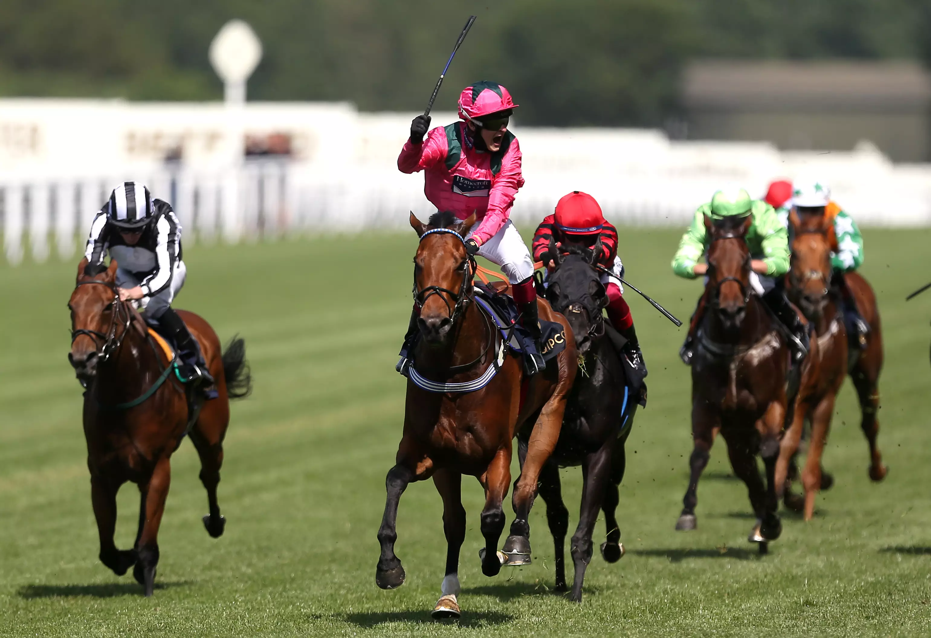 royal ascot todays results