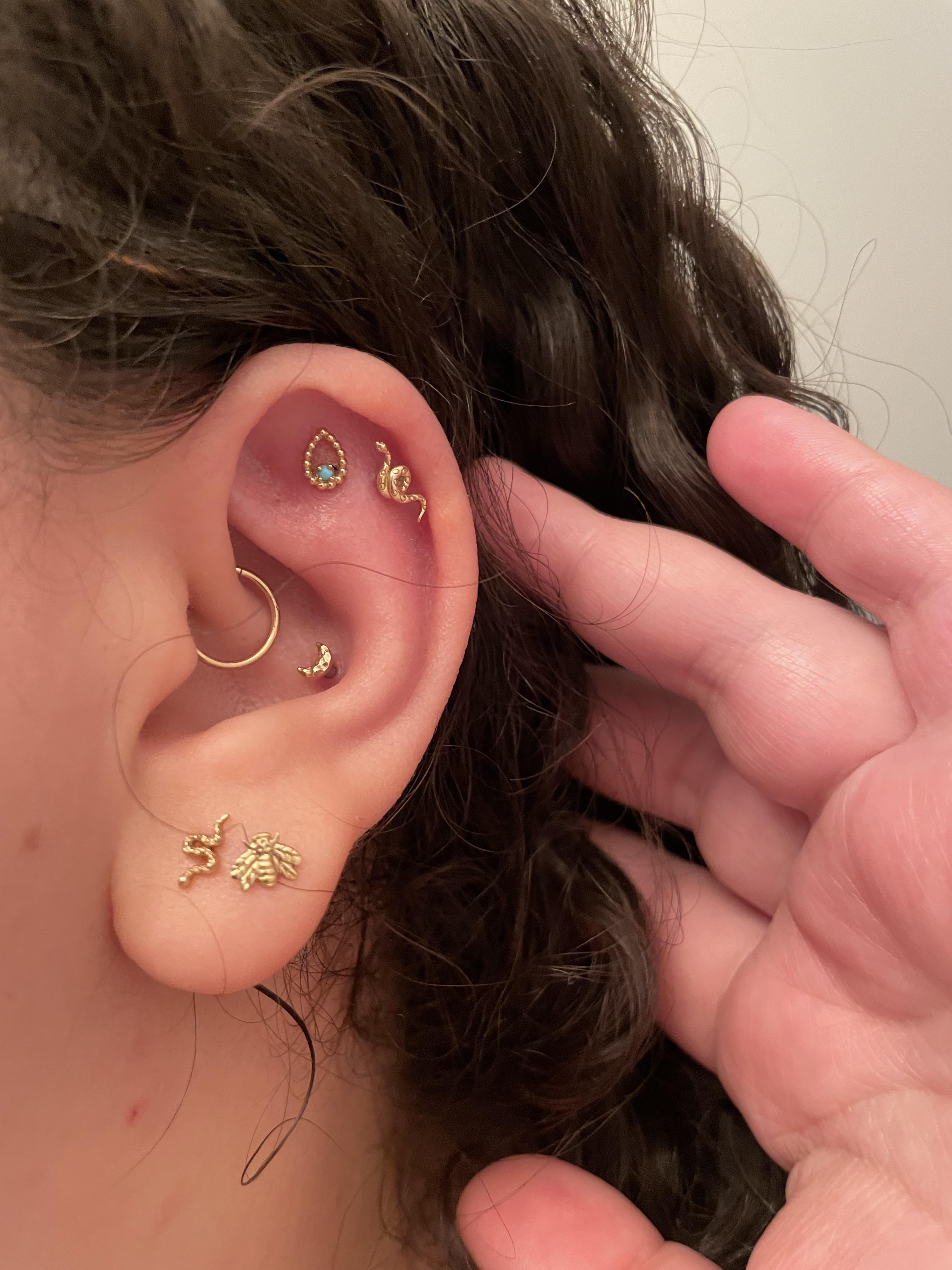 faux rook piercing