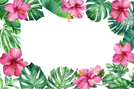 hawaiian images clip art