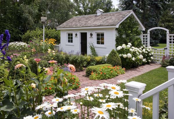 daisy flower plant bungalow house