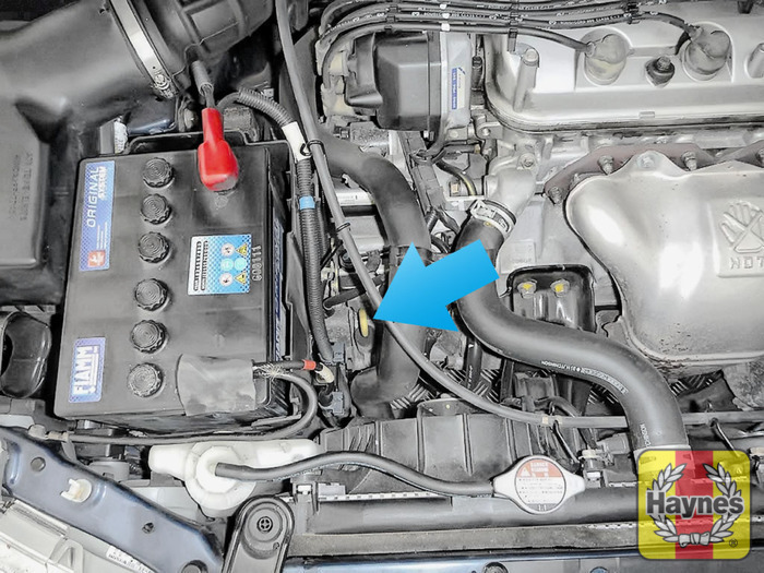 honda accord transmission fluid