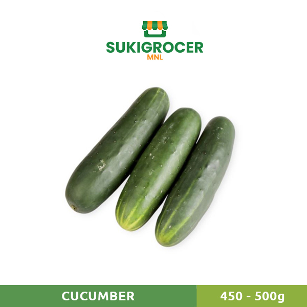 cucumber price philippines 2019