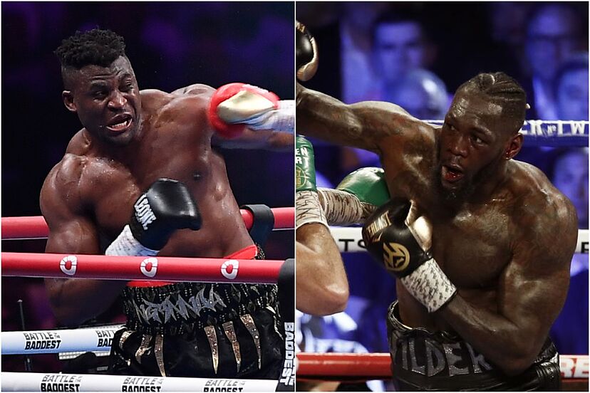 wilder boxing next fight