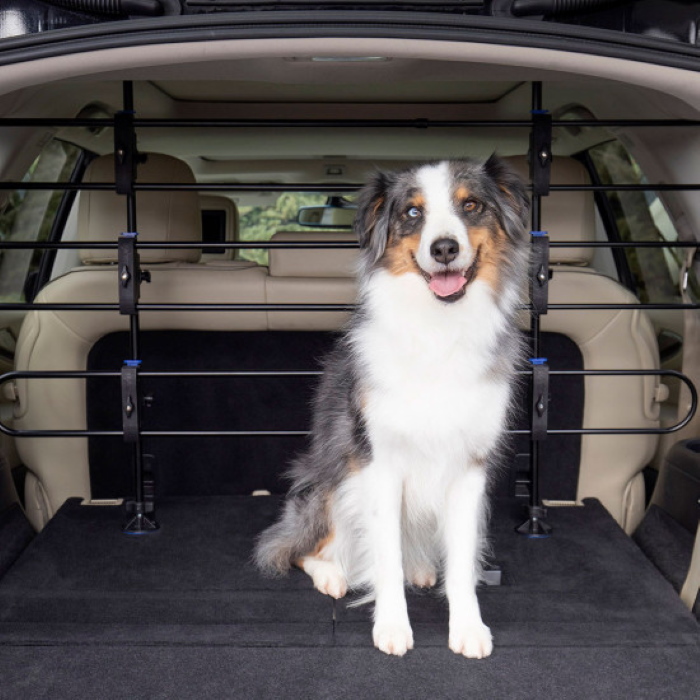 vehicle dog barrier