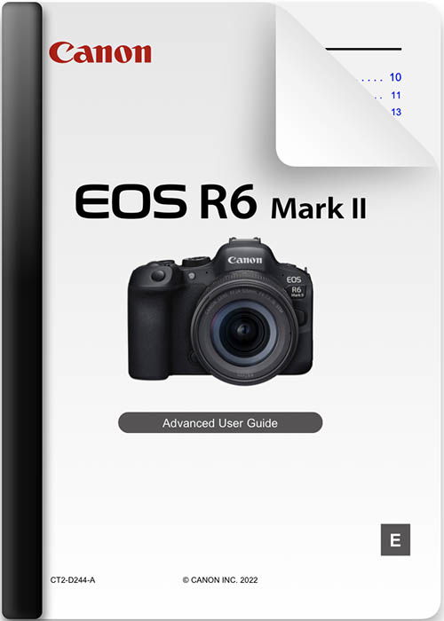 canon r6 manual