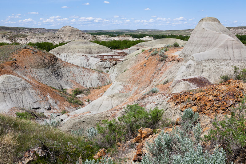 dinosaur provincial park reviews