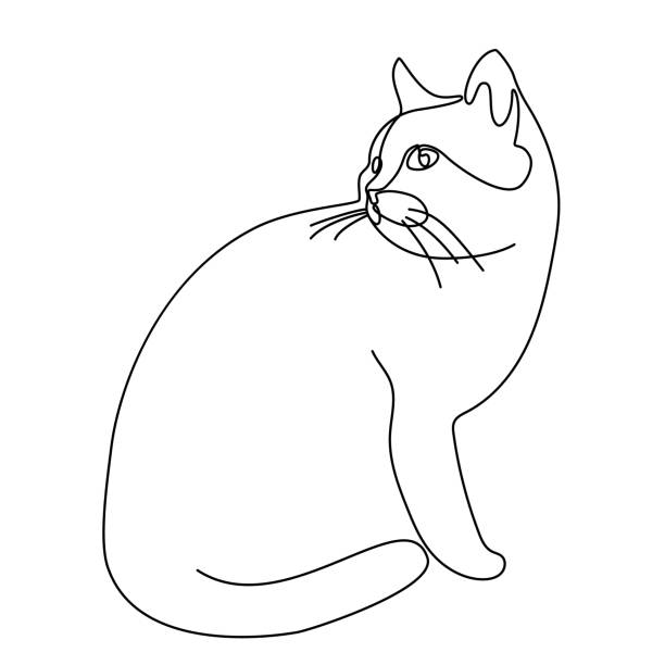 cat continuous line drawing