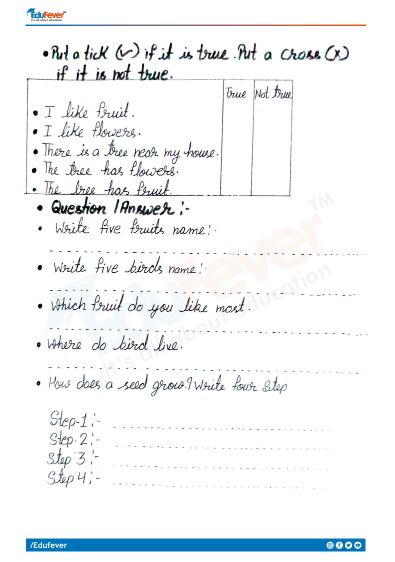 our tree class 1 worksheet