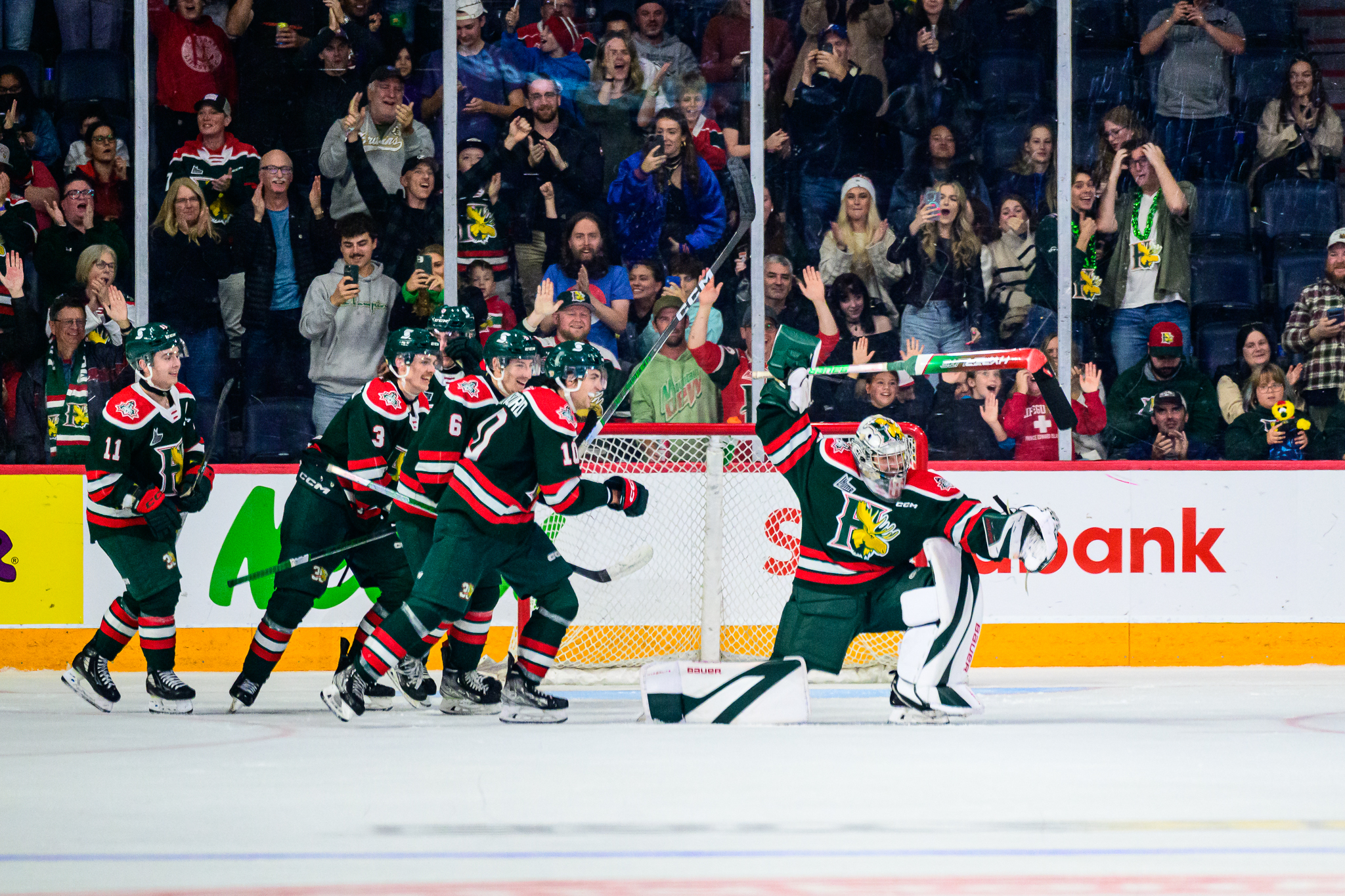 mooseheads score live