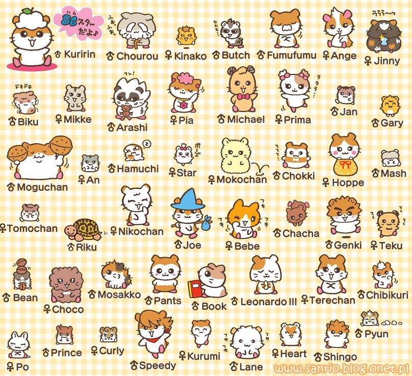 all sanrio characters names