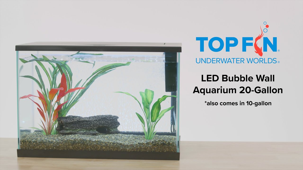 topfin aquarium