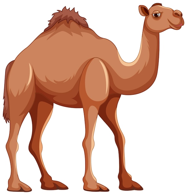 camel clipart