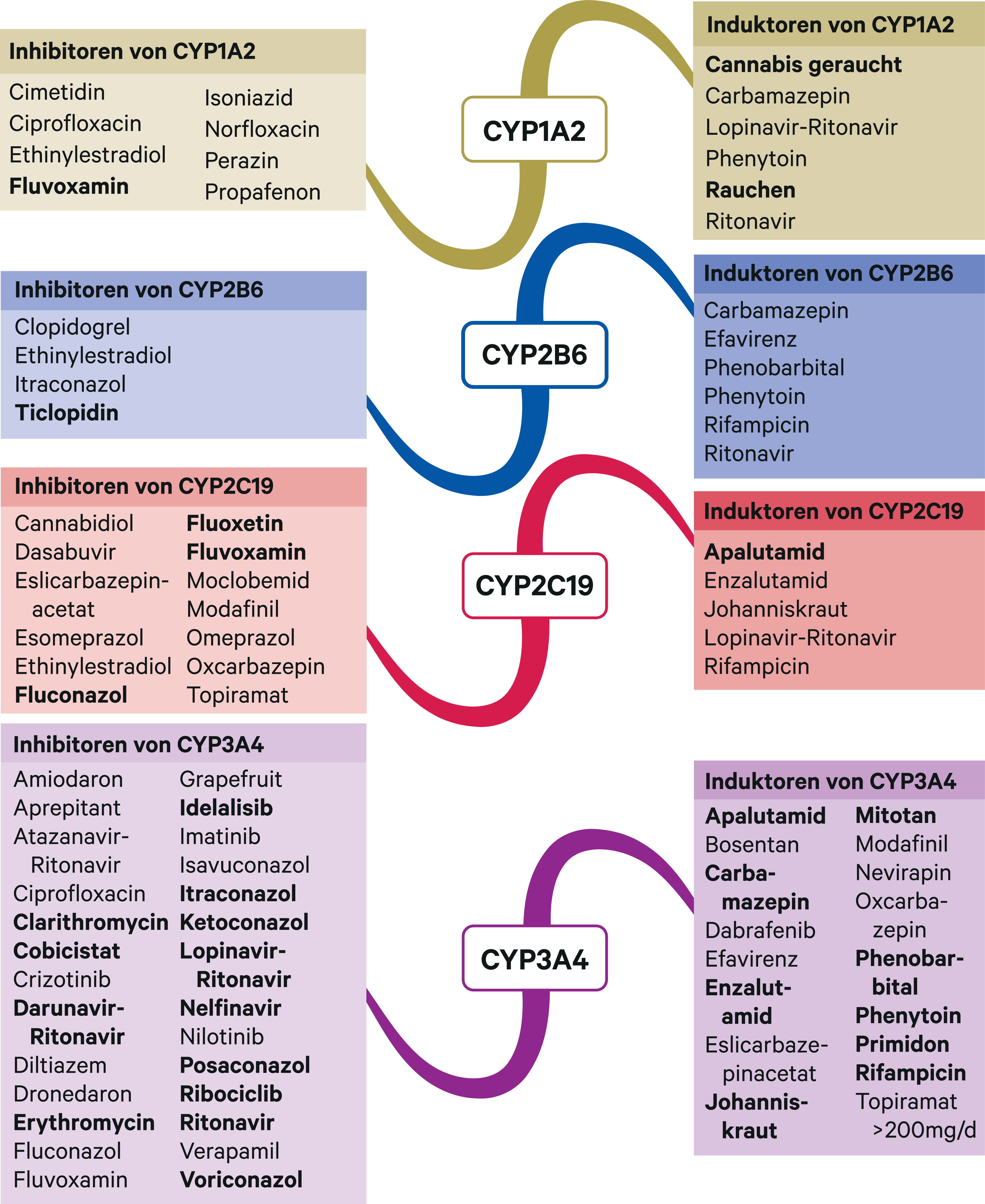 cyp3a4 hemmer