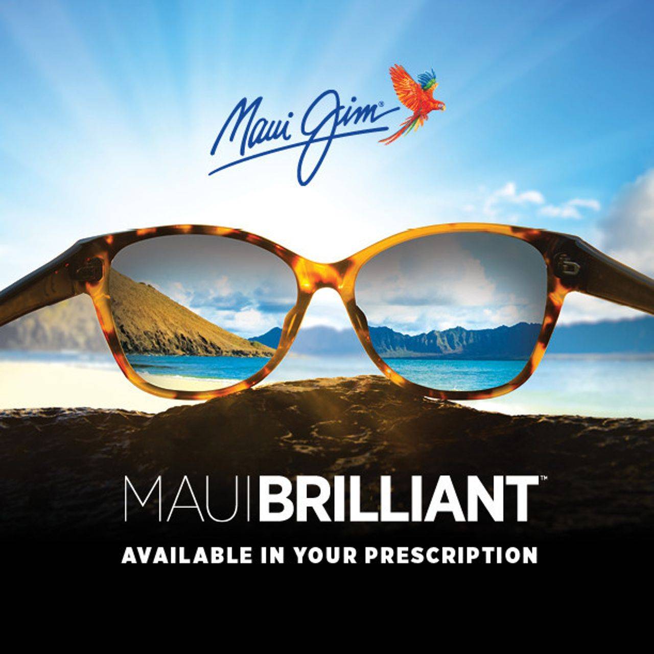 maui jim polarized plus 2