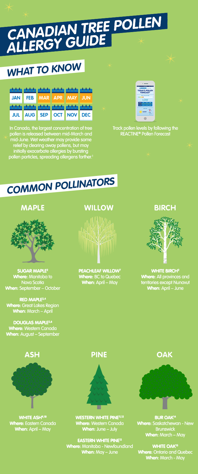 tree pollen count