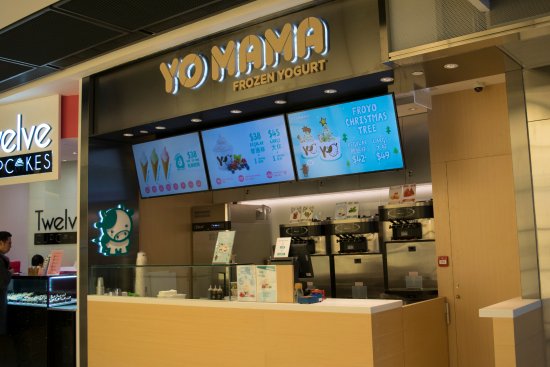 yo mama frozen yoghurt