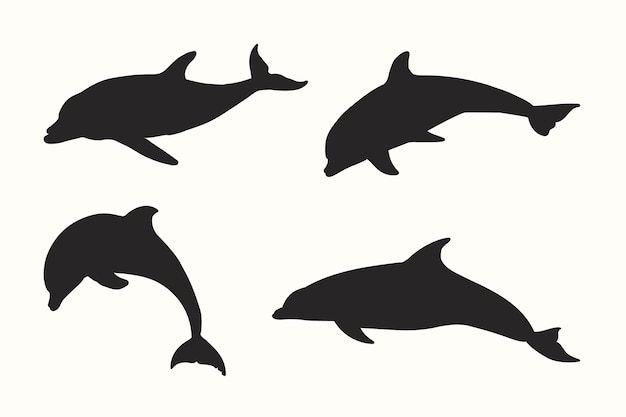 silhouette of a dolphin