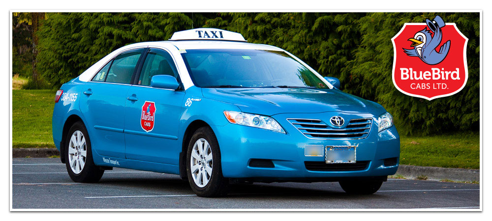 blue bird cabs victoria bc