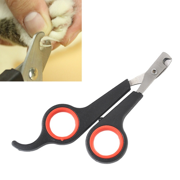 rabbit nail clippers