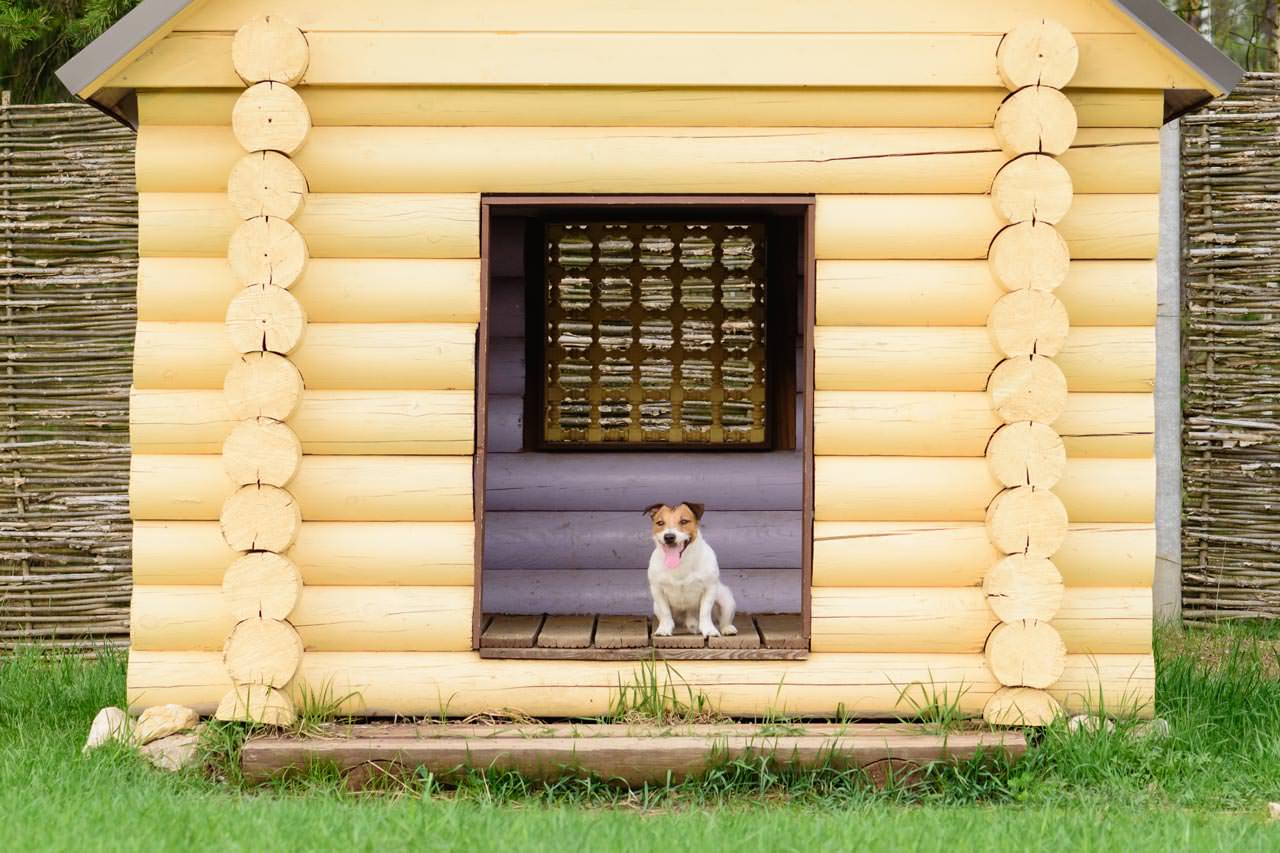 dog house builders