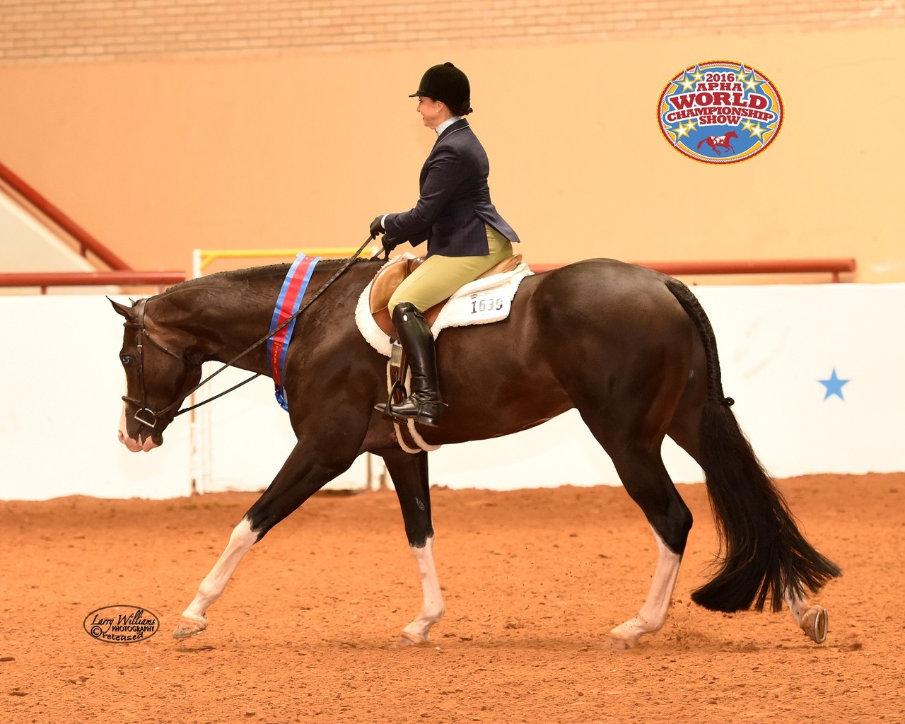 the wow factor apha