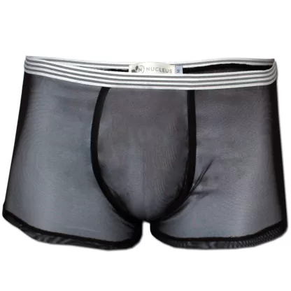 mens sheer underwear boxer brief