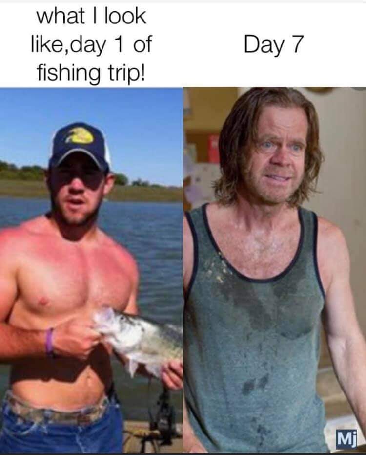 meme fishing