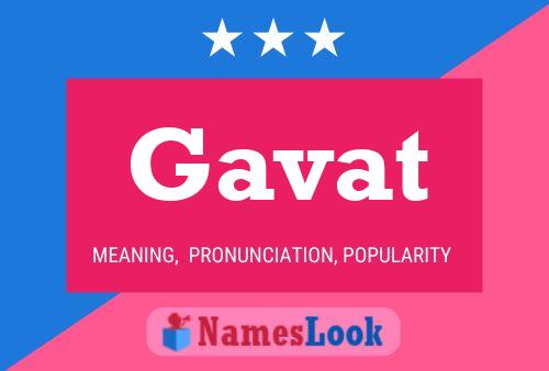 gavat meaning