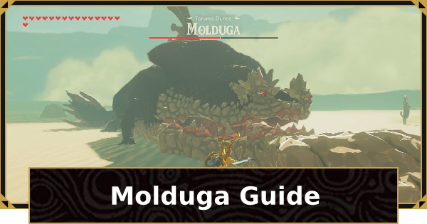 molduga botw location