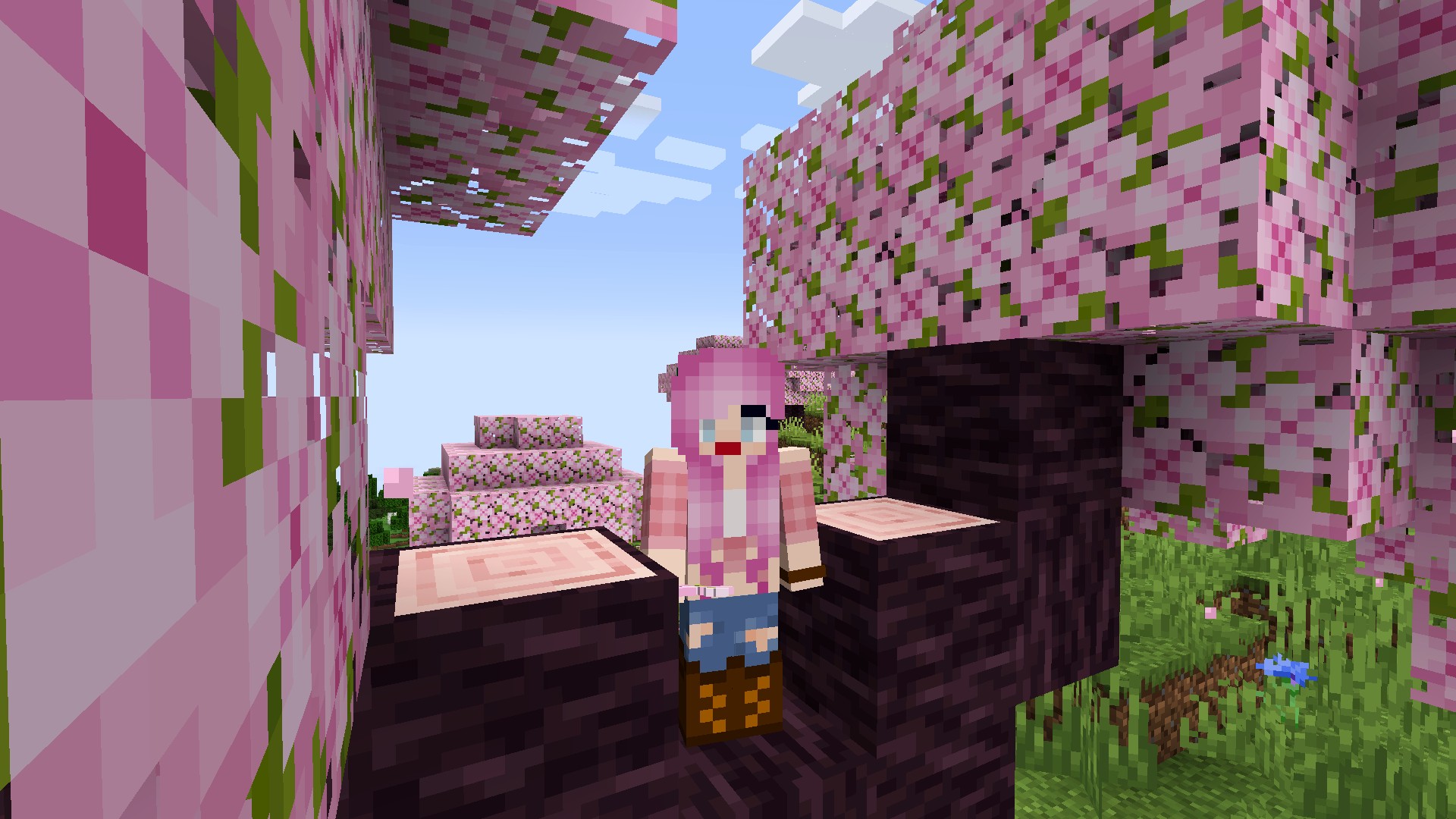 sakura trees minecraft